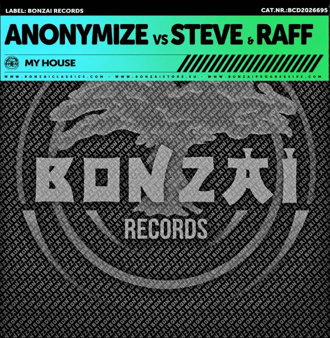Hoes van Anonymize - Steve&Raff: My House